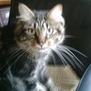 Meet your Posher, Karen